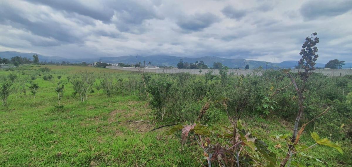 Vende - Hermoso Terreno Plano de 2 Has - Tababela — imagen 10