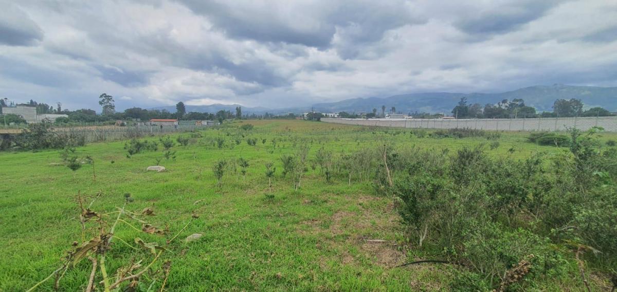 Vende - Hermoso Terreno Plano de 2 Has - Tababela — imagen 9