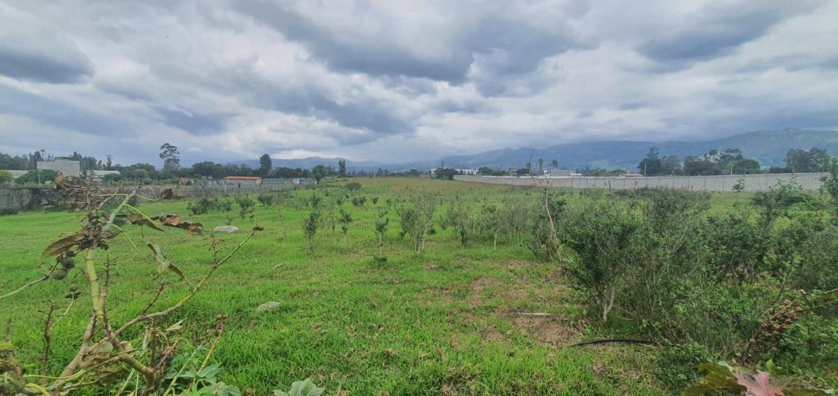 Vende - Hermoso Terreno Plano de 2 Has - Tababela — imagen 8