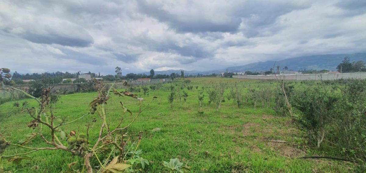 Vende - Hermoso Terreno Plano de 2 Has - Tababela — imagen 7