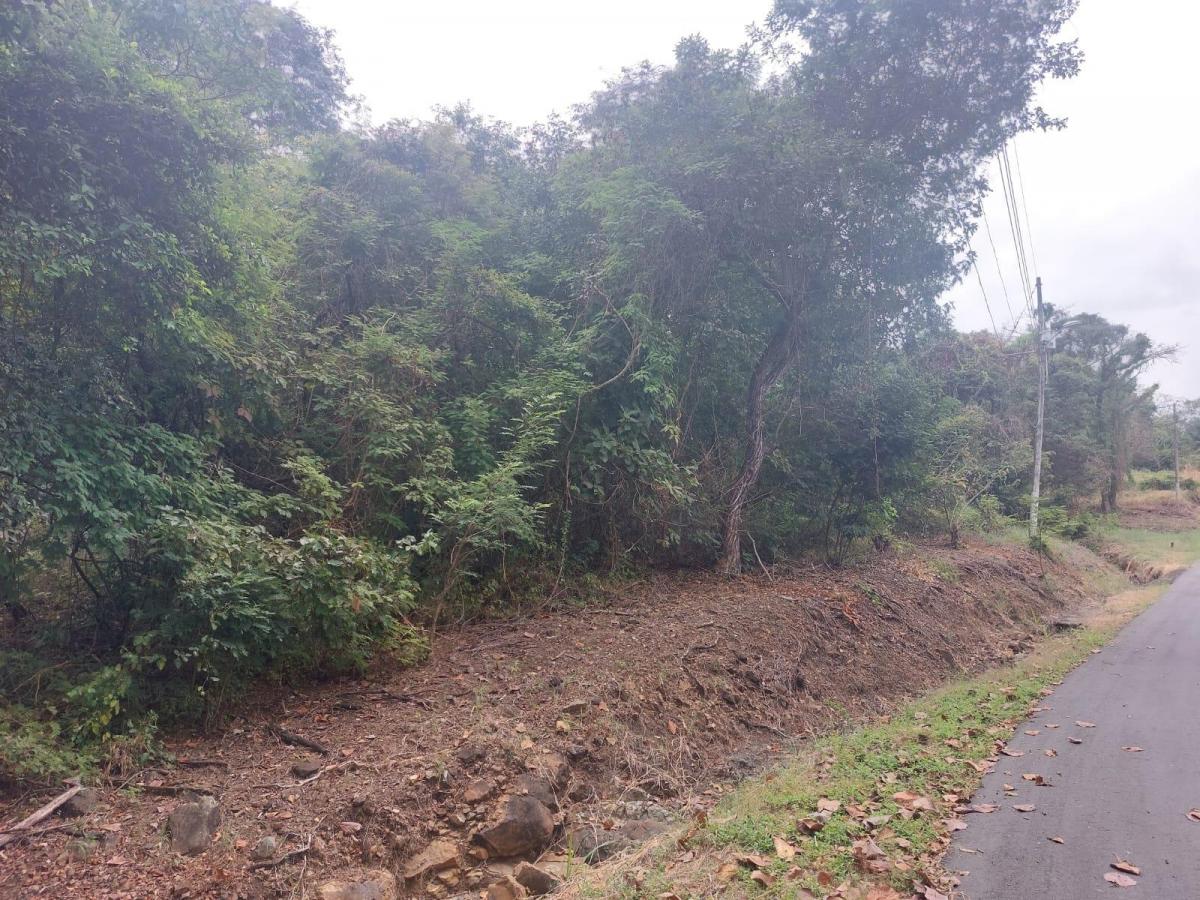 Terreno de Venta en La Urbanización Lago de Capeira, 1295 m². Guayas — imagen 9