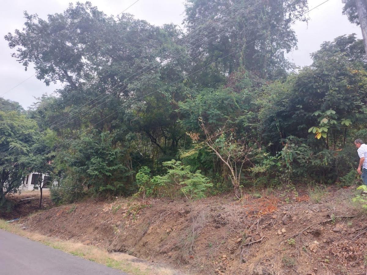 Terreno de Venta en La Urbanización Lago de Capeira, 1295 m². Guayas — imagen 8