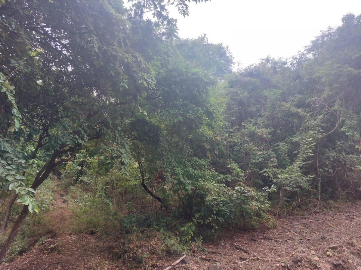Terreno de Venta en La Urbanización Lago de Capeira, 1295 m². Guayas — imagen 7