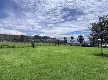 En Renta 10.000 Y/o 5.000 m² de Terreno con Cabaña | Vía Cascadas Condor Machay - Valle de Los Chillos — imagen 3