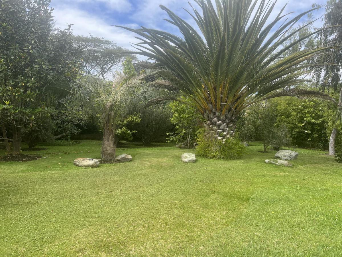 Tumbaco Terreno de Venta Sector Hilacril — imagen 7