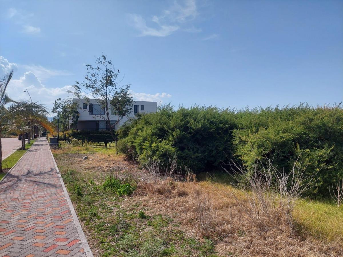 Terreno de 1052 m² en Venta, Tumbaco con Vista Al Parque — imagen 7
