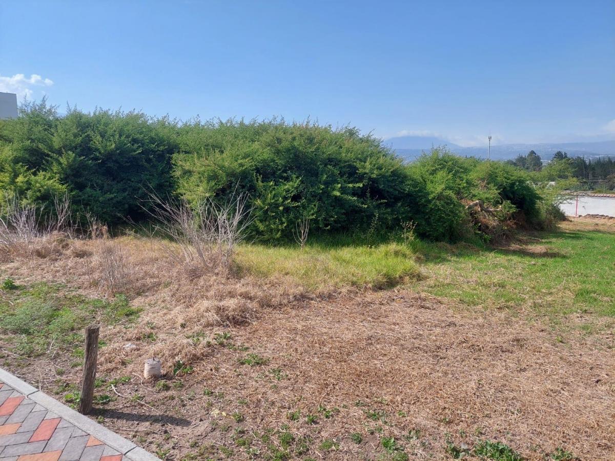 Terreno de 1052 m² en Venta, Tumbaco con Vista Al Parque — imagen 6