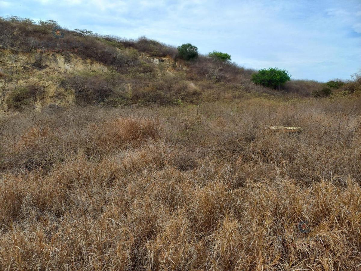 Venta Terreno Lomas de Ballenita, Santa Elena 1000 m², P. C. Provincia de Santa Elena — imagen 4