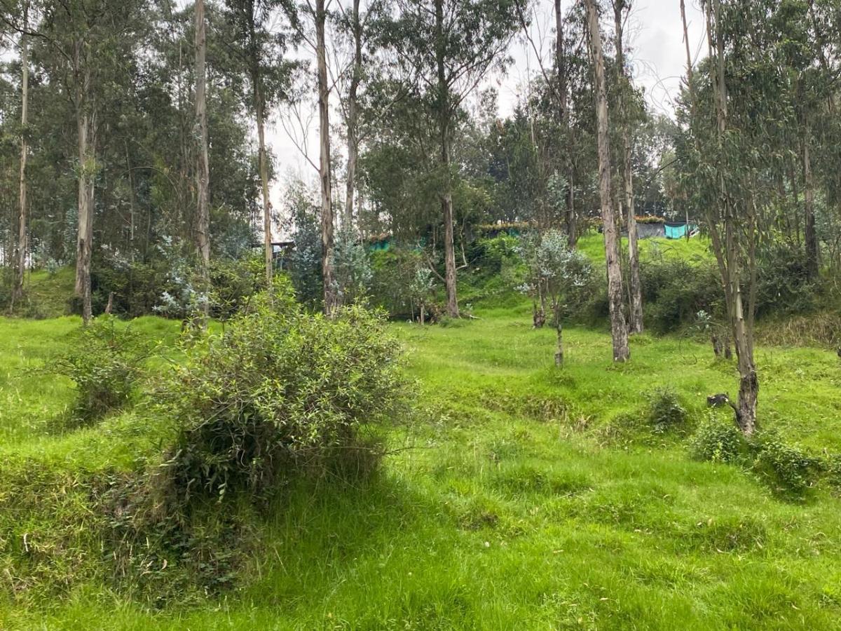 Terreno Industrial Imi 2.940 m² Autopista General Rumiñahui Puente 2 $184.900 — imagen 3