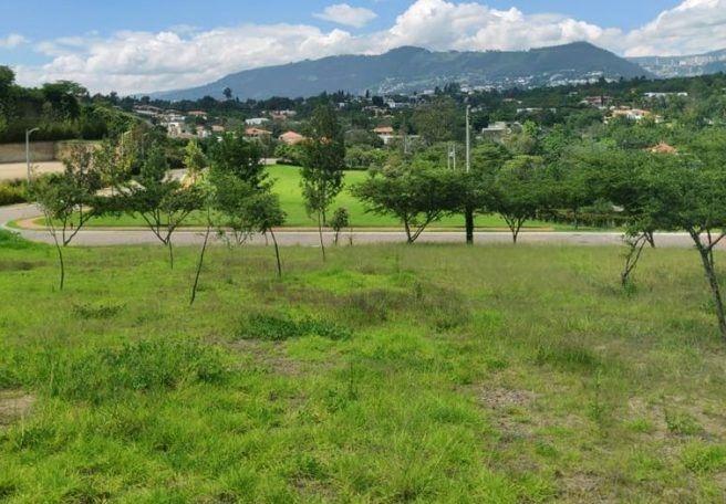 Terreno en Cumbayá — imagen 8