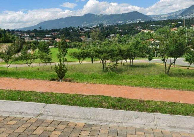 Terreno en Cumbayá — imagen 7