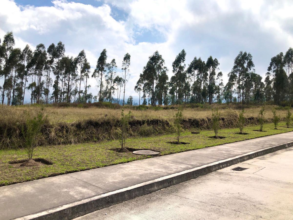 Pifo, Venta Espectacular Terreno 9.954,67 Ubicado Dentro del Parque Industrial — imagen 8