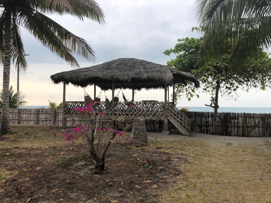 Mv - Same, Unico Terreno en Venta Frente a Casa Blanca 8.912 m² — imagen 6