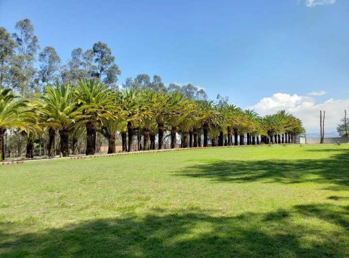 Venta Terreno en Puembo — imagen 1
