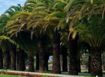 Venta Terreno en Puembo — imagen 4