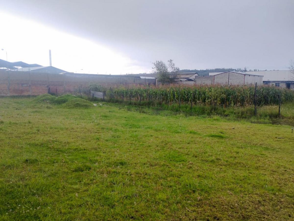Terreno, Departamentos y Casas en Venta — imagen 9