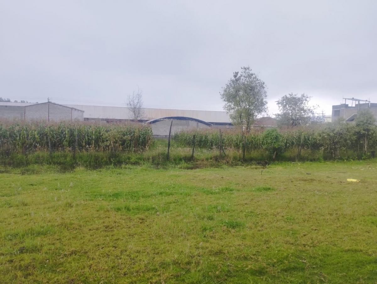 Terreno, Departamentos y Casas en Venta — imagen 8