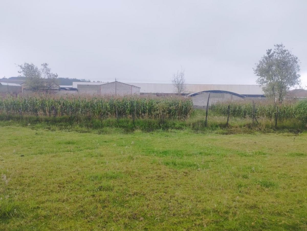 Terreno, Departamentos y Casas en Venta — imagen 6