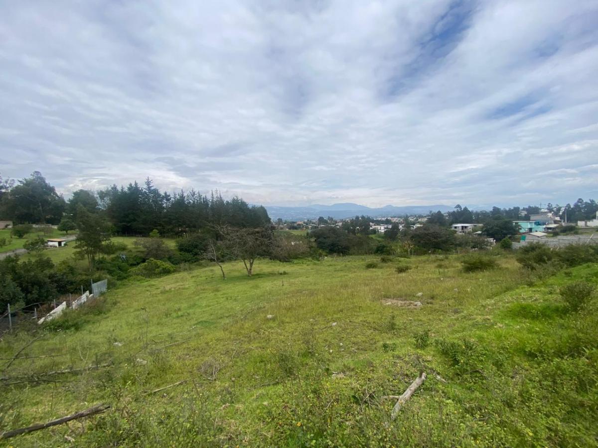 Terreno de Venta en Quito, Tumbaco, Barrio Plazapamba — imagen 10