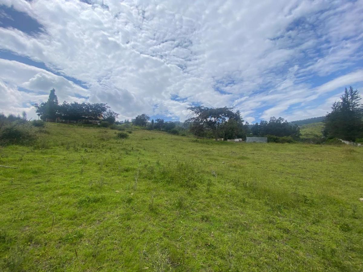 Terreno de Venta en Quito, Tumbaco, Barrio Plazapamba — imagen 9
