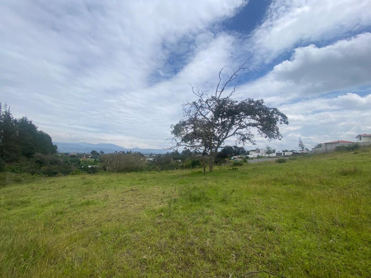 Terreno de Venta en Quito, Tumbaco, Barrio Plazapamba — imagen 7