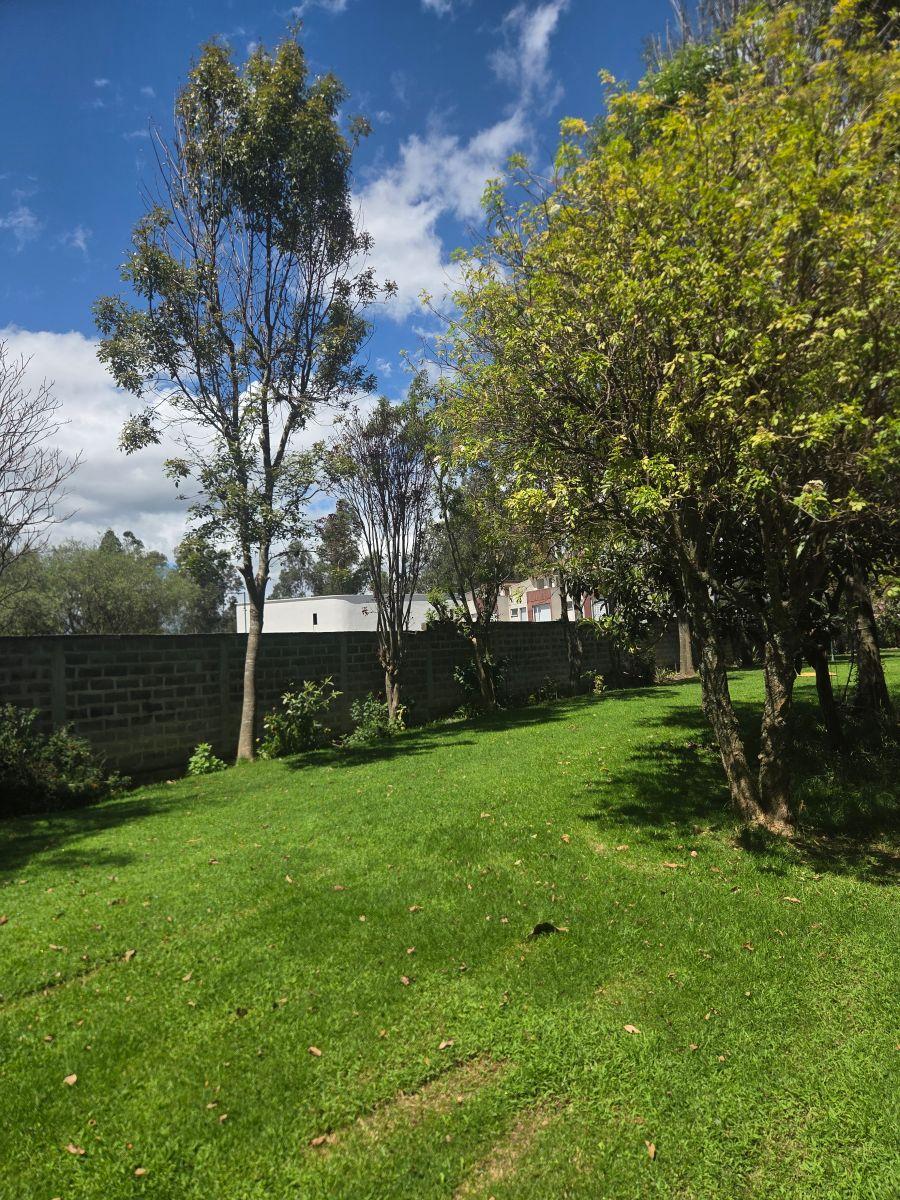 Casa Nueva en Venta en Conocoto | 240 m² | 3 Dorm. | 2.5 Baños | Seguridad 24/7 — imagen 7