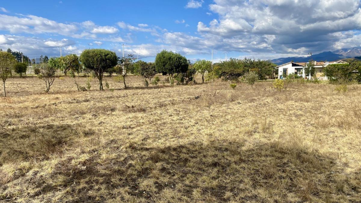 Terreno de 800 m² de Venta en Tabacundo (Urb. Hacienda La Pradera) — imagen 8