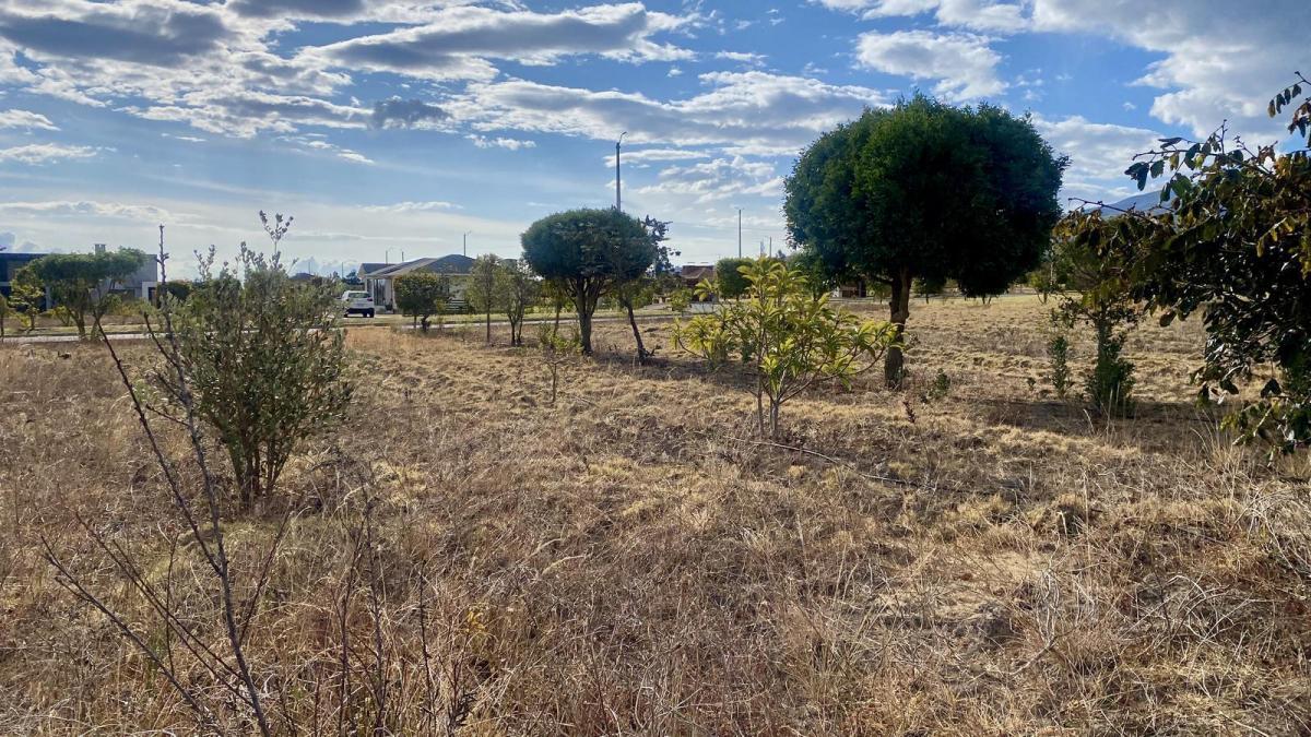 Terreno de 800 m² de Venta en Tabacundo (Urb. Hacienda La Pradera) — imagen 6