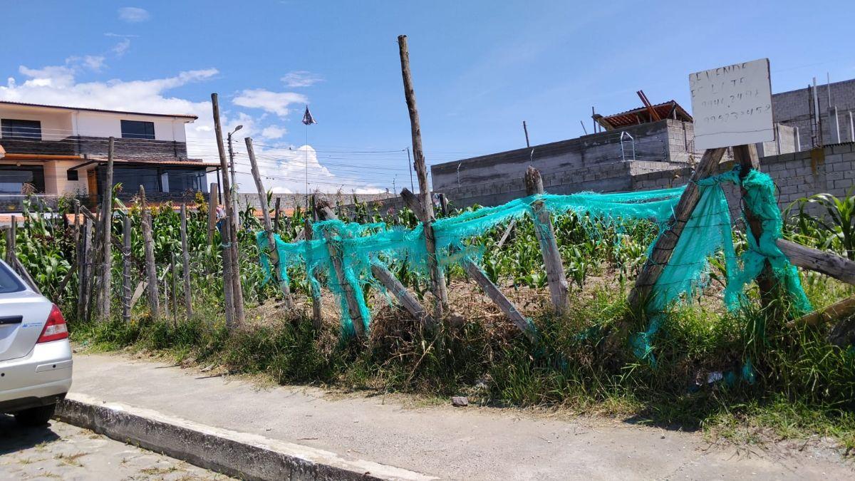 Terreno de Venta a 3 Cuadras del Colegio Milenio — imagen 7