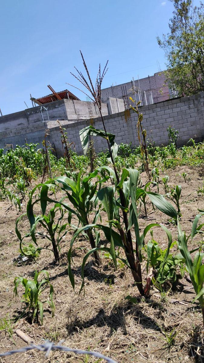 Terreno de Venta a 3 Cuadras del Colegio Milenio — imagen 6