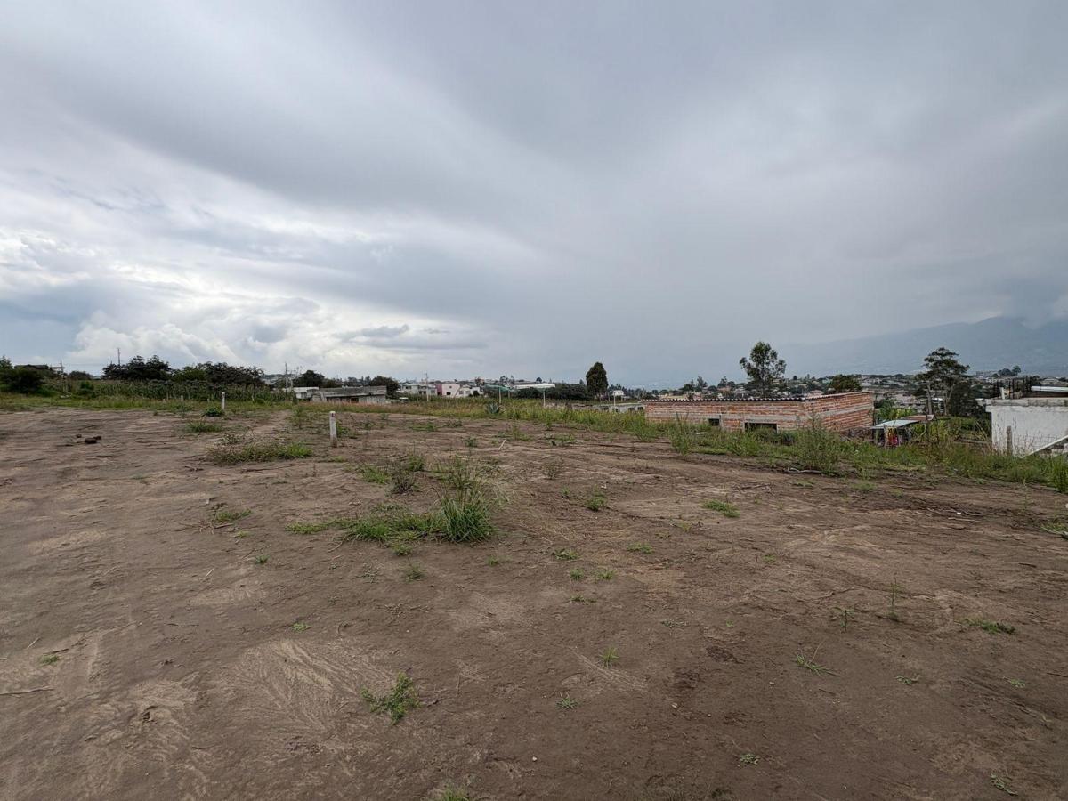 Terreno en Venta Sector Llano Grande, San Juan Loma Alto — imagen 4