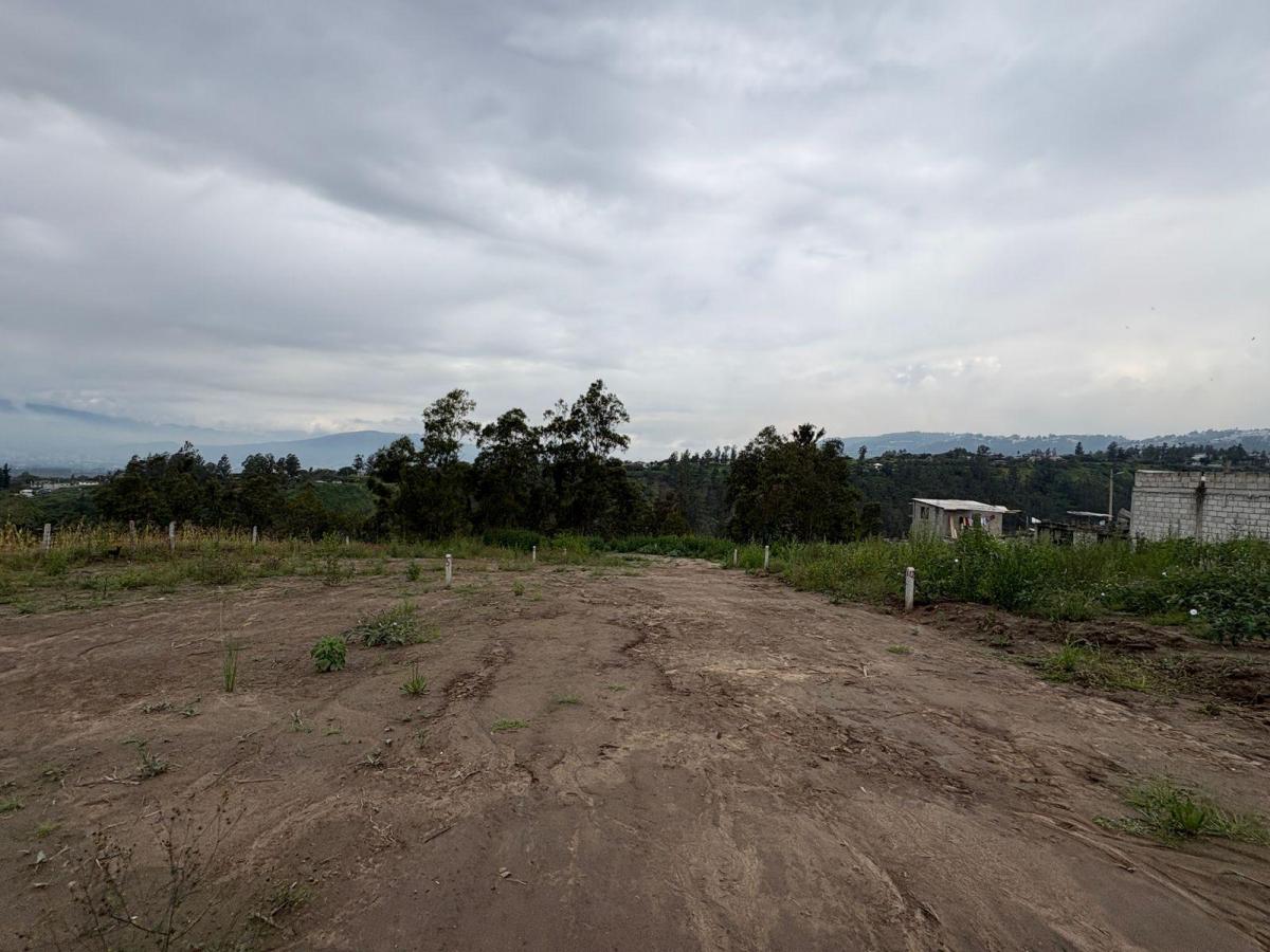 Terreno en Venta Sector Llano Grande, San Juan Loma Alto — imagen 2