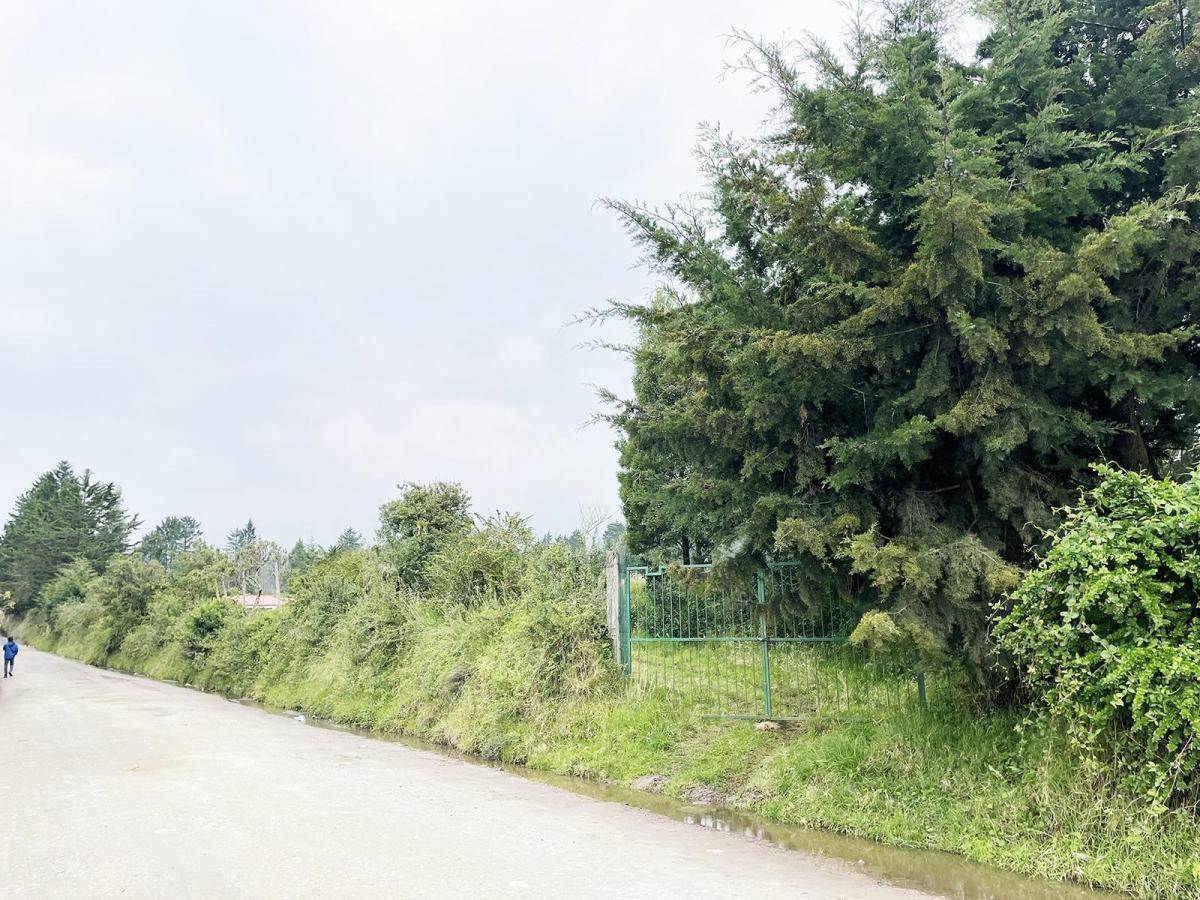 Vendo Terreno Agrícola en El Inga - Pifo — imagen 9