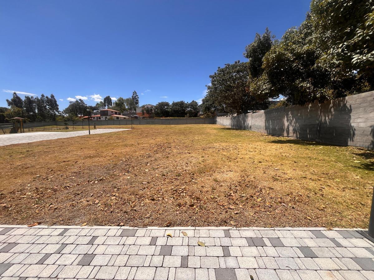 Terrenos de Venta en Puembo 401 m² Dentro de Urbanización — imagen 10