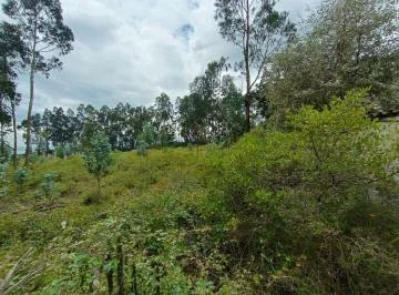 Arriendo Terreno en La La Esperanza - Tabacundo — imagen 2