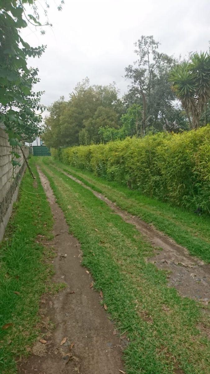 Venta de Terreno en Tumbaco Cerca de La Ruta Viva Altura de La Morita — imagen 6