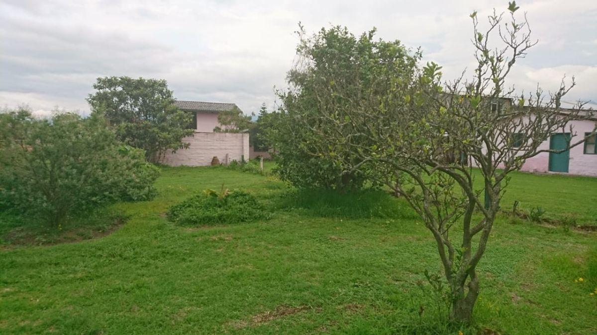 Venta de Terreno en Tumbaco Cerca de La Ruta Viva Altura de La Morita — imagen 2