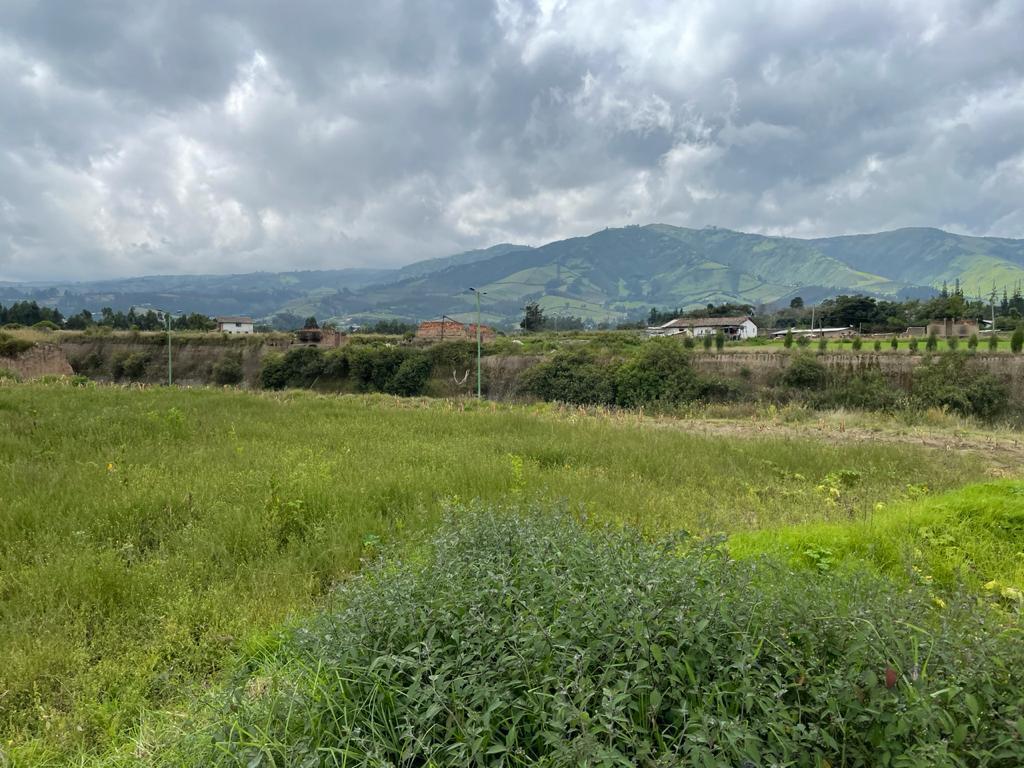 En Venta Terreno 6.4 Has, Via Al Aeropuerto, Sector, Sector Tabalela — imagen 10