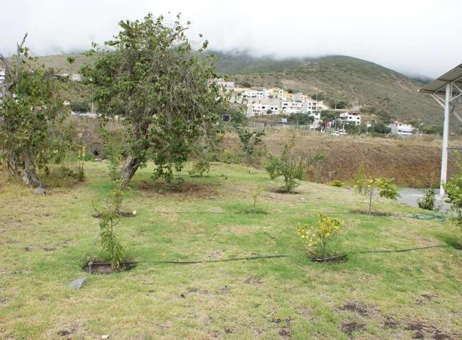 Venta - Terreno - Pomasqui - Norte - Quito — imagen 2