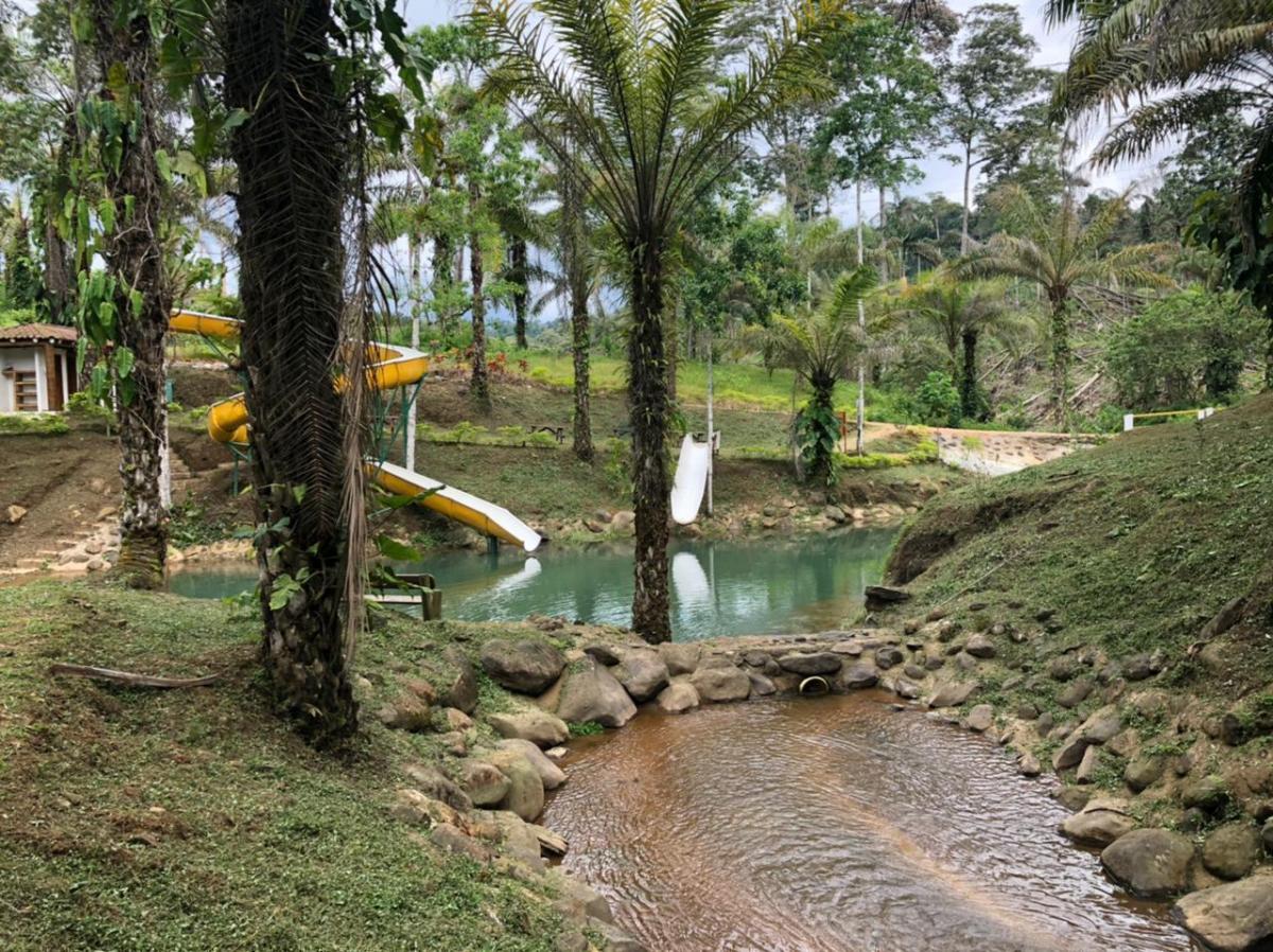 Terreno Sector Puerto Quito — imagen 8