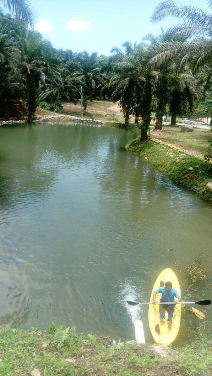 Terreno Sector Puerto Quito — imagen 6