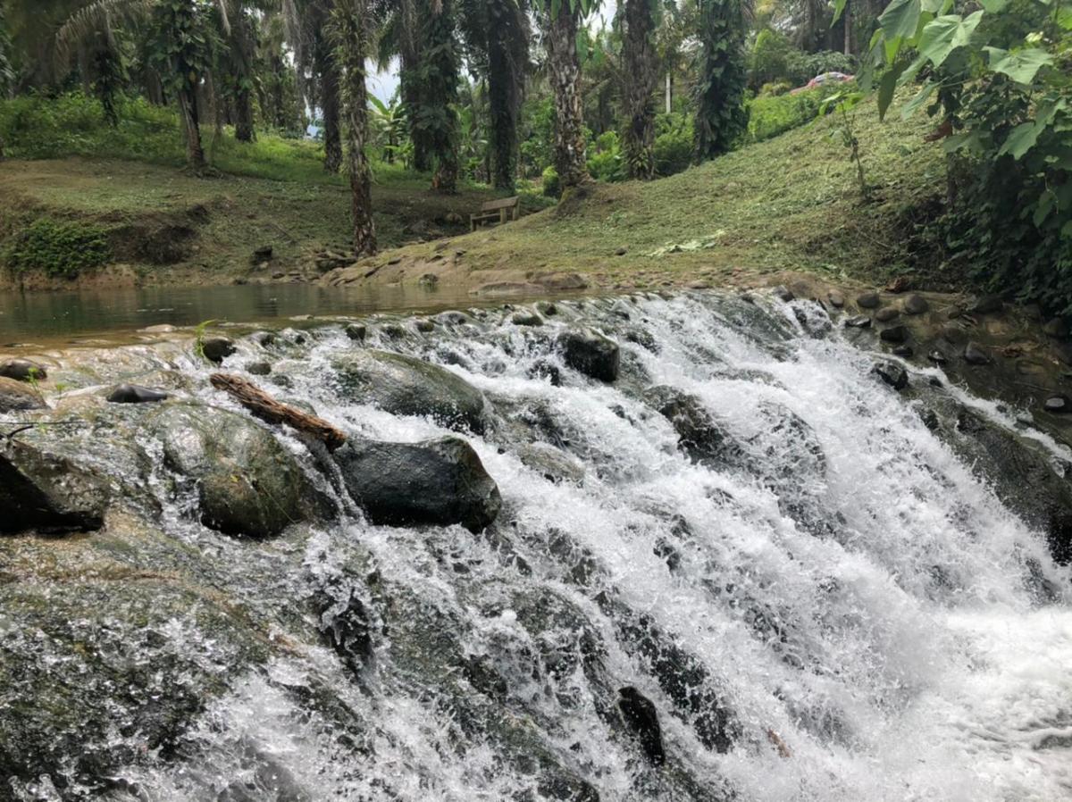 Terreno Sector Puerto Quito — imagen 5