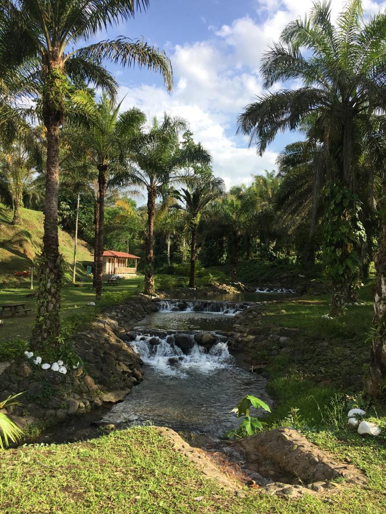 Terreno Sector Puerto Quito — imagen 4