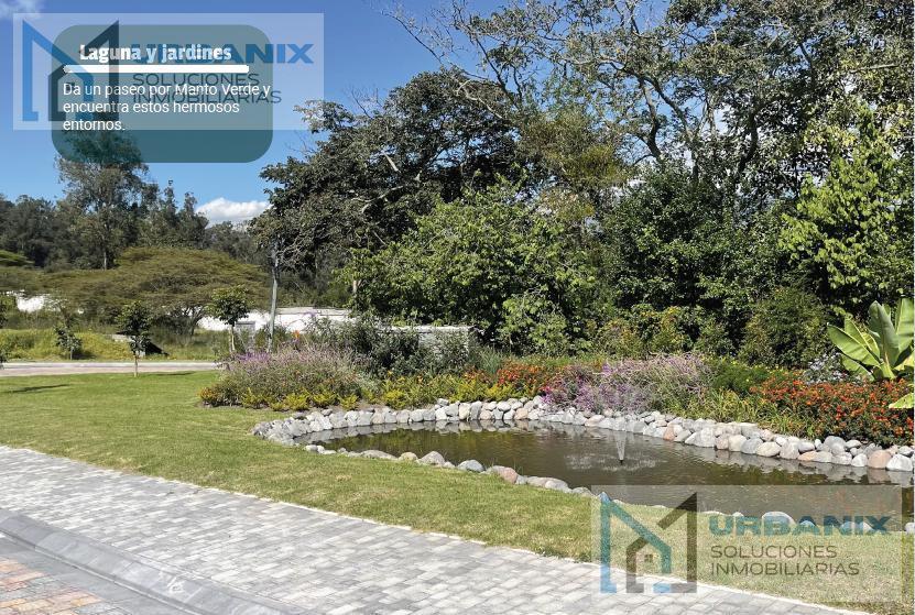 Venta Terrenos Desde 900 m² - 1200 m². Ruta Viva — imagen 8