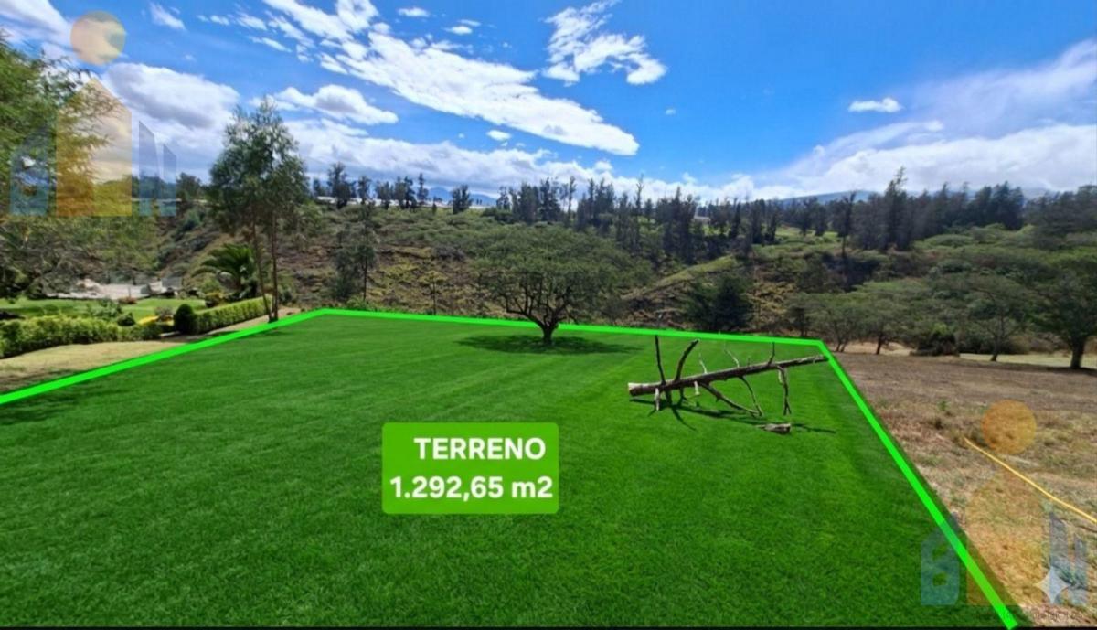 Terreno - Checa — imagen 9