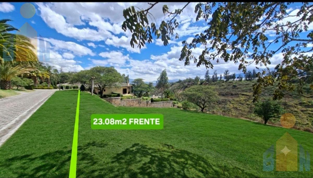 Terreno - Checa — imagen 7