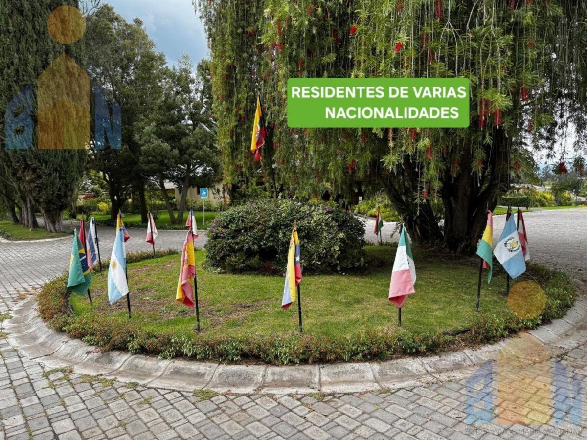 Terreno - Checa — imagen 6