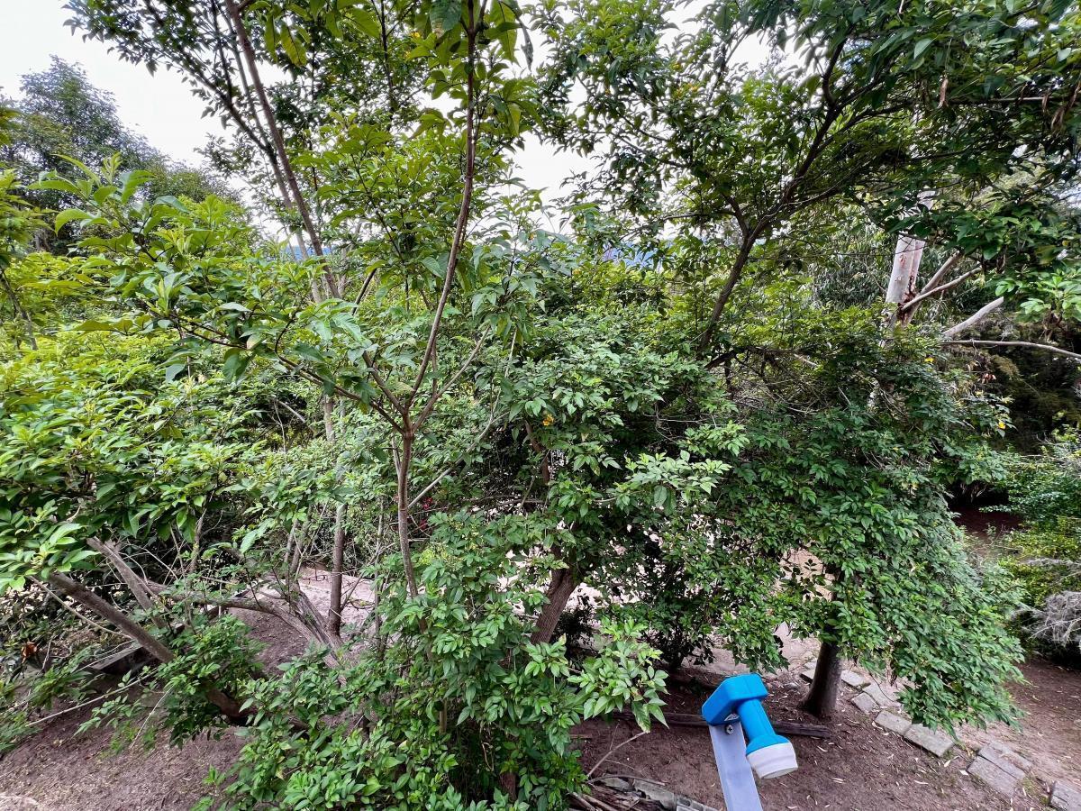 La Viña Excelente Terreno 1370 m. $356.000 — imagen 6