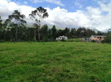Terreno en Venta - Pintag — imagen 4