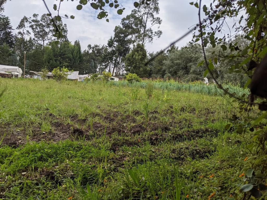 Vendo Terreno en Pifo — imagen 10